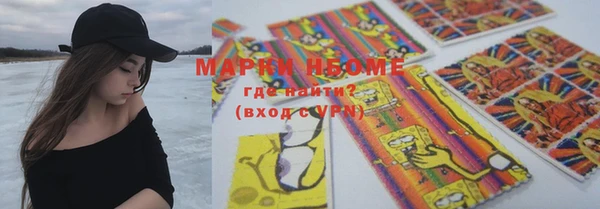 шишки Новозыбков