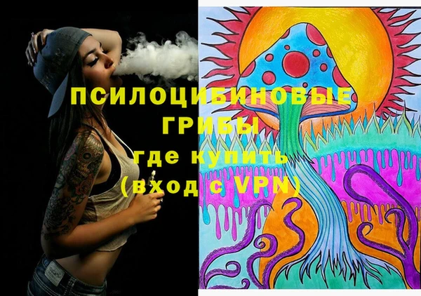 шишки Новозыбков