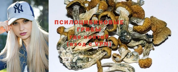a pvp Бутурлиновка