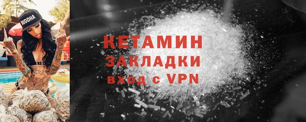шишки Новозыбков