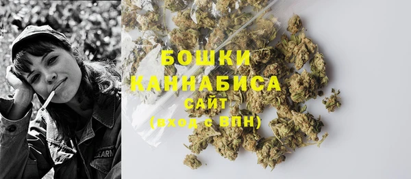 шишки Новозыбков